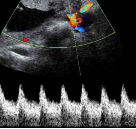 Servicios Radiológicos en Guanajuato